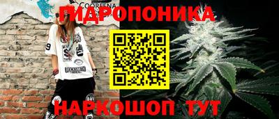 мяу мяу мука Бузулук